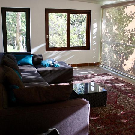 Three Pines Cottage On Stark Conde Stellenbosch Extérieur photo
